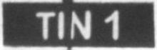 TIN 1