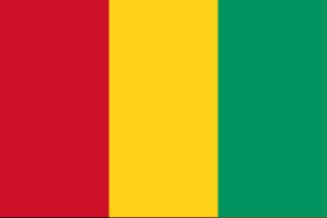 Guinea zászlaja