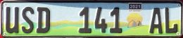 USD 141 AL