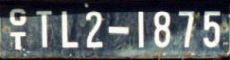 G/T|TL2-1875
